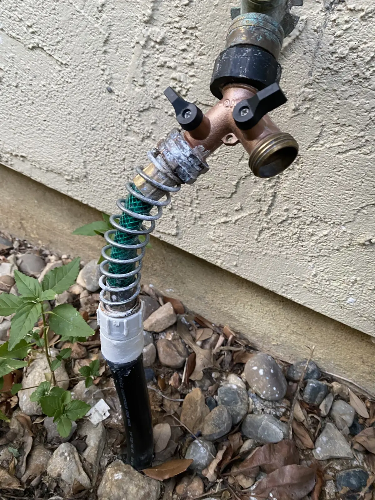 Customer photo 1